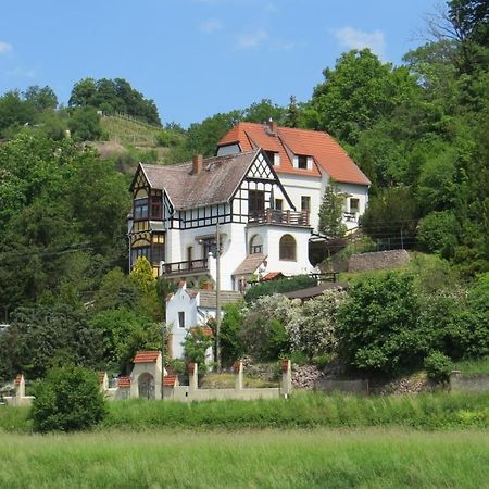Ferienwohnung Elbsommer Am Weinberg Meißen Eksteriør billede