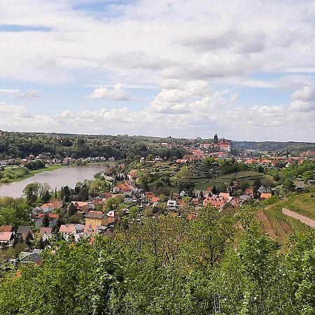 Ferienwohnung Elbsommer Am Weinberg Meißen Eksteriør billede
