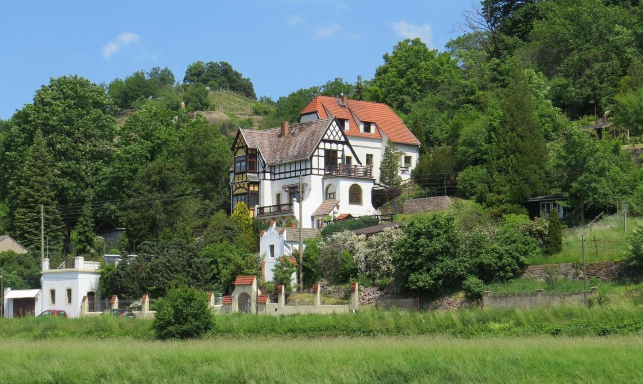 Ferienwohnung Elbsommer Am Weinberg Meißen Eksteriør billede
