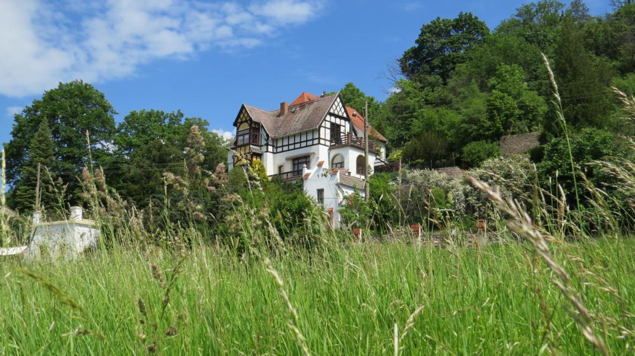 Ferienwohnung Elbsommer Am Weinberg Meißen Eksteriør billede